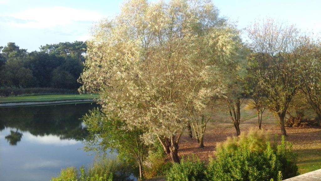 Studio Avec Vue Sur Lac Talmont-Saint-Hilaire Екстериор снимка